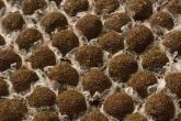 Brigadeiro